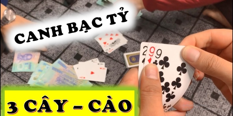 Các biến thể bài cào