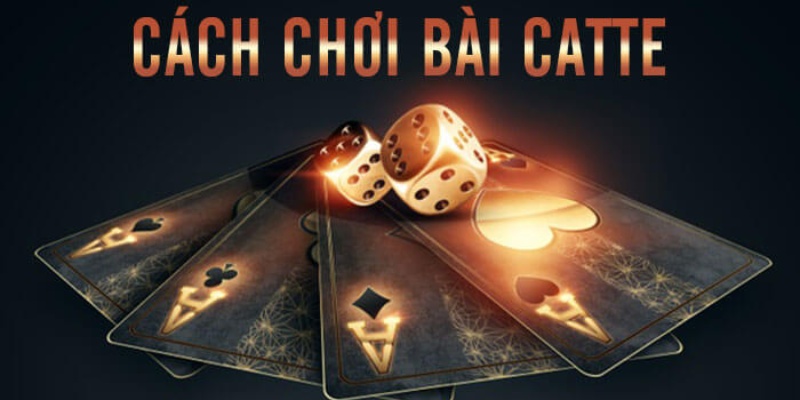 Cách chơi bài Catte chuẩn nhất